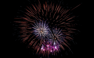 Feu d’artifice juridique à Strasbourg !